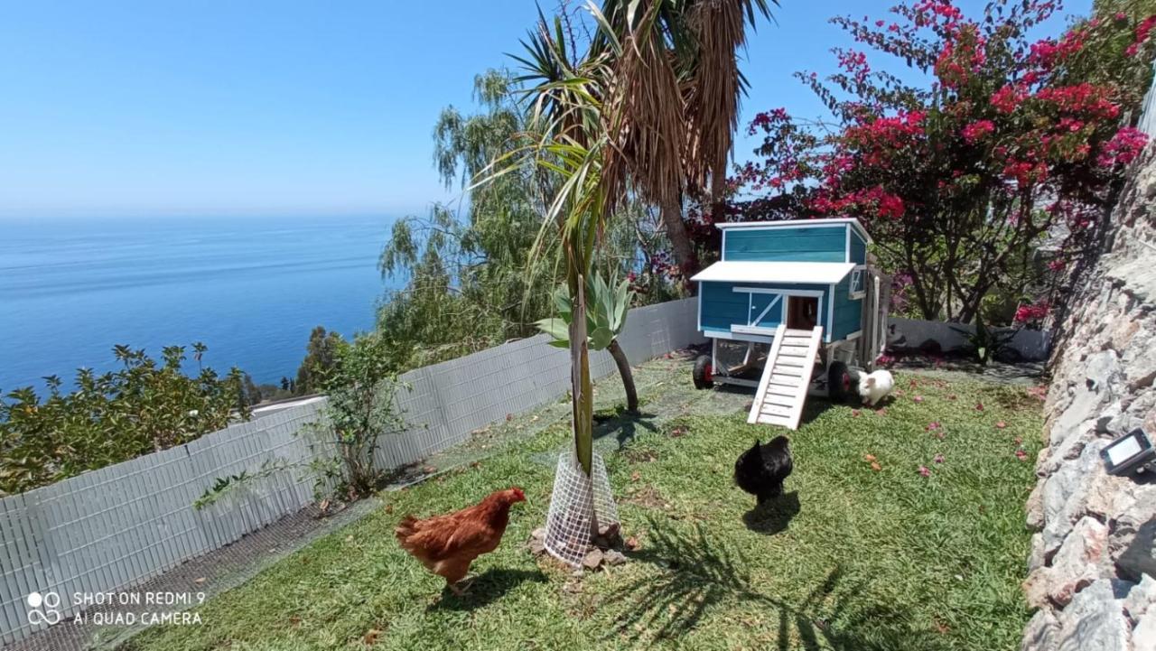 Villa Buganvilla En Salobreña Buitenkant foto